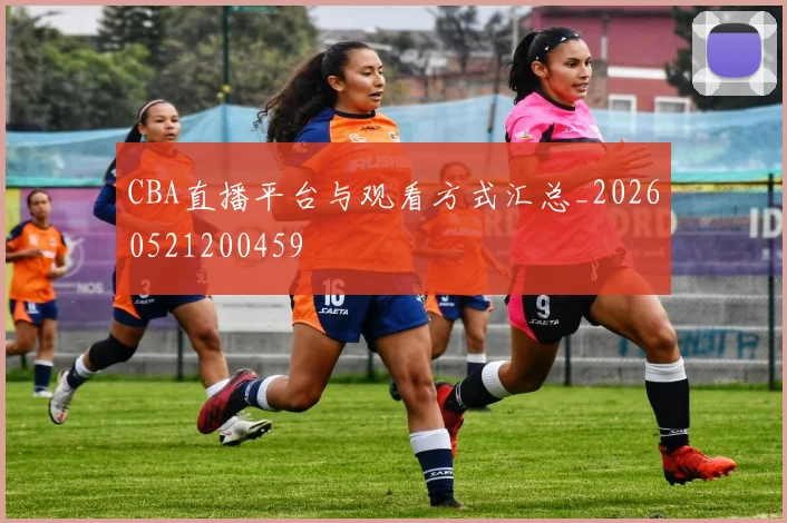 CBA直播平台与观看方式汇总_20260521200459