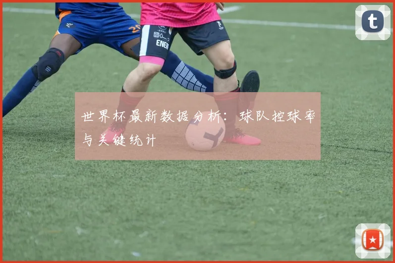 世界杯最新数据分析:球队控球率与关键统计