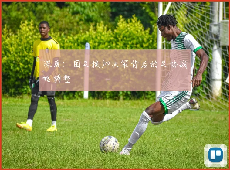 深度:国足换帅决策背后的足协战略调整