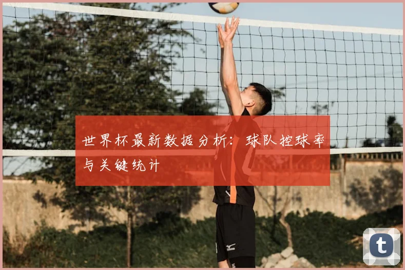 世界杯最新数据分析：球队控球率与关键统计